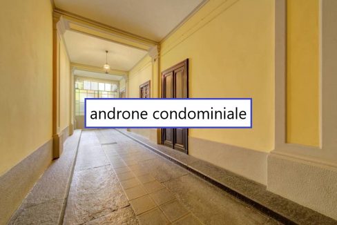 androne cond